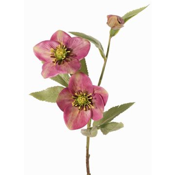 Deko Zweig Christrose SUNMYN, mauve, 55cm, Ø8-10cm