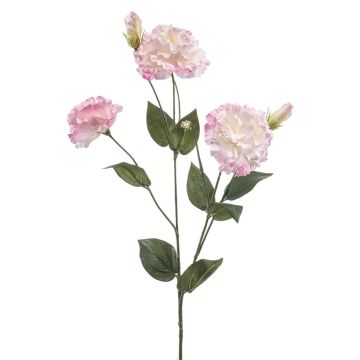 Kunst Lisianthus RENARA, rosa-creme, 75cm