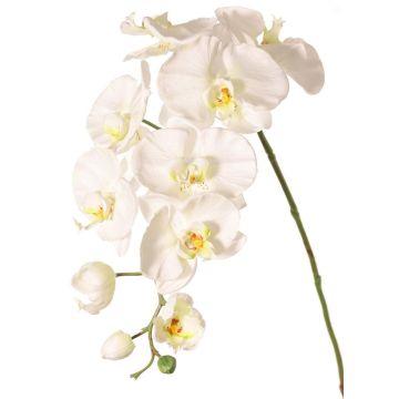 Künstlicher Blumenzweig Phalaenopsis Orchidee WESA, weiß, 90cm, Ø11-12,5cm