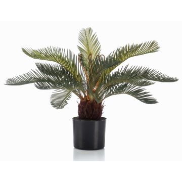 Cycas Palme künstlich NEREO, 55cm