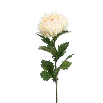Künstliche Chrysantheme LAZO, creme-rosa, 75cm