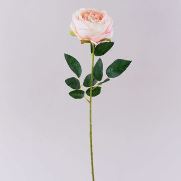 Plastik Blume Rose CHERLEN, zartrosa, 65cm, Ø10cm Plastik Blume Rose CHERLEN, zartrosa, 65cm, Ø10cm