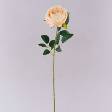 Plastik Blume Rose CHERLEN, aprikose, 65cm, Ø10cm Plastik Blume Rose CHERLEN, aprikose, 65cm, Ø10cm