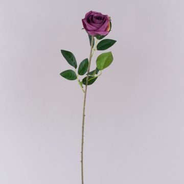 Samt Rose SEENSA, lila, 60cm, Ø7cm Samt Rose SEENSA, lila, 60cm, Ø7cm