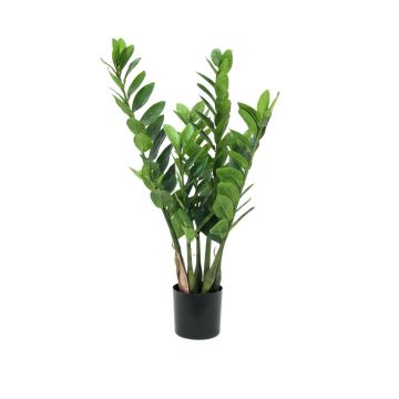 Kunst Zamioculcas Zamiifolia AKELA, 70cm Kunst Zamioculcas Zamiifolia AKELA, 70cm
