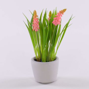 Kunstblume Traubenhyazinthe NARMADA im Zementtopf, rosa, 20cm Kunstblume Traubenhyazinthe NARMADA im Zementtopf, rosa, 20cm