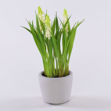 Kunstblume Traubenhyazinthe NARMADA im Zementtopf, weiß, 20cm Kunstblume Traubenhyazinthe NARMADA im Zementtopf, weiß, 20cm