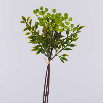 Fake Zweig Vogelbeere ELNATAN, Bund, Früchte, grün, 30cm Fake Zweig Vogelbeere ELNATAN, Bund, Früchte, grün, 30cm