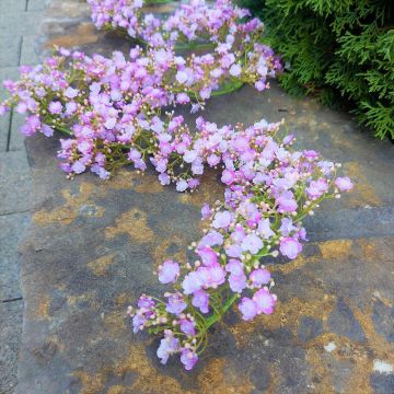 Kunst Girlande Gypsophilia LITAGO, rosa-violett, 180cm