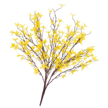 Dekopflanze Forsythienstrauch LOVIS, blühend, gelb, 60cm