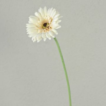 Kunstblume Gerbera TEUDELINDE, weiß-creme, 55cm, Ø8cm Kunstblume Gerbera TEUDELINDE, weiß-creme, 55cm, Ø8cm
