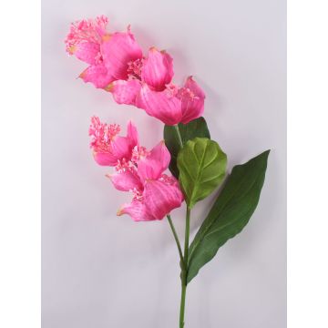 Künstlicher Blumenzweig Medinilla LASENTER, rosa, 110cm