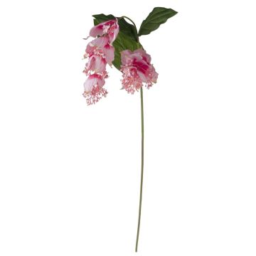 Künstlicher Blumenzweig Medinilla LASENTER, rosa, 140cm