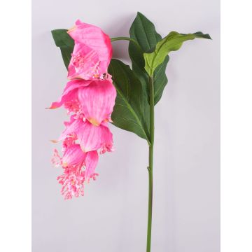 Künstlicher Blumenzweig Medinilla LASENTER, rosa, 140cm Künstlicher Blumenzweig Medinilla LASENTER, rosa, 140cm
