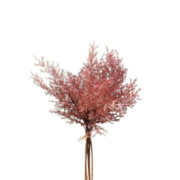 Deko Asparagus sprengeri Bund RUBIOLTA , violett-rosa, 35cm
