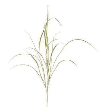 Künstlicher Zweig Schilf Gras TROVAL, grün-silber, 105cm