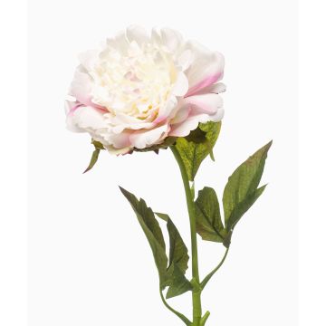 Kunstblume Pfingstrose GAVRON, weiß-rosa, 55cm