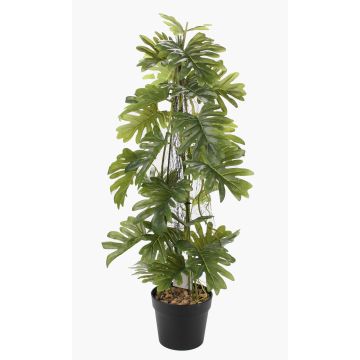 Fake Pflanze Philodendron selloum BRINOL, Dekotopf, Luftwurzeln, 80cm