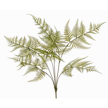 Fake Pflanze Schwertfarn MELFIR, auf Steckstab, crossdoor, grün, 65cm Fake Pflanze Schwertfarn MELFIR, auf Steckstab, crossdoor, grün, 65cm