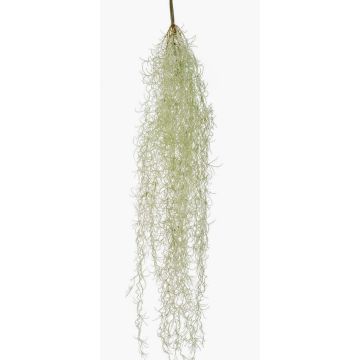 Kunst Sukkulente Tillandsia usneoides BRAVIK, Steckstab, schwer brennbar, grau, 85cm