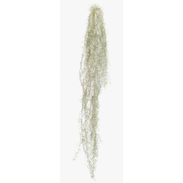 Kunst Sukkulente Tillandsia usneoides BRAVIK, Steckstab, schwer brennbar, grau, 150cm Kunst Sukkulente Tillandsia usneoides BRAVIK, Steckstab, schwer brennbar, grau, 150cm