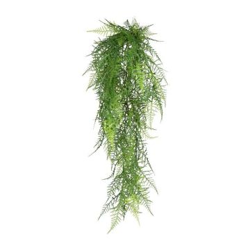 Deko Asparagus Plumosus Hänger QUALO, Steckstab, 80cm Deko Asparagus Plumosus Hänger QUALO, Steckstab, 80cm