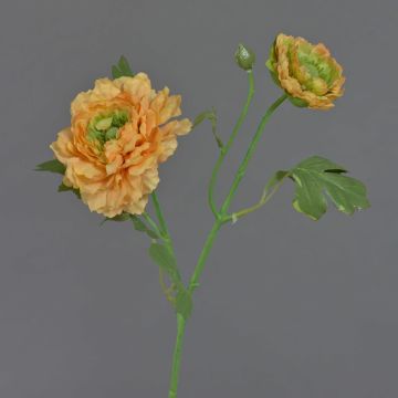 Kunst Ranunkel SAGARA, aprikose-grün, 45cm, Ø5-9cm