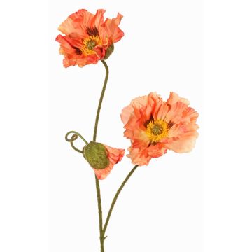 Dekozweig Mohnblume PEJA, pfirsich, 90cm, Ø11-13cm