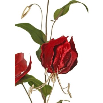 Samtiger Gloriosa Zweig DINFAS, dunkelrot-gold, 80cm