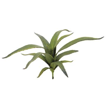 Deko Aloe Vera VERENA, Stecker, crossdoor, grün, 65cm, Ø50cm Deko Aloe Vera VERENA, Stecker, crossdoor, grün, 65cm, Ø50cm