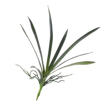 Dekoblätter Oncidium Orchidee PAOLA, Luftwurzel, 25x45cm