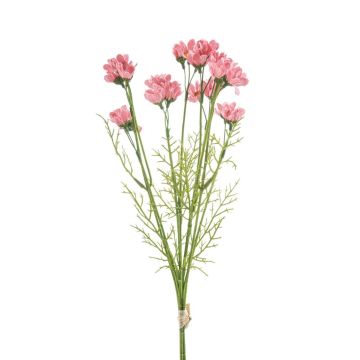 Dekoblumenstrauß Margeriten Bund DIBARA, rosa, 40cm Dekoblumenstrauß Margeriten Bund DIBARA, rosa, 40cm