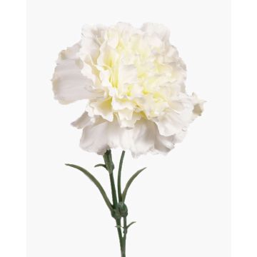 Kunst Nelke VANERA, creme, 60cm, Ø9cm Kunst Nelke VANERA, creme, 60cm, Ø9cm