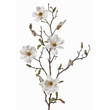 Deko Magnolie MARGA, weiß, 80cm, Ø7-8cm Deko Magnolie MARGA, weiß, 80cm, Ø7-8cm