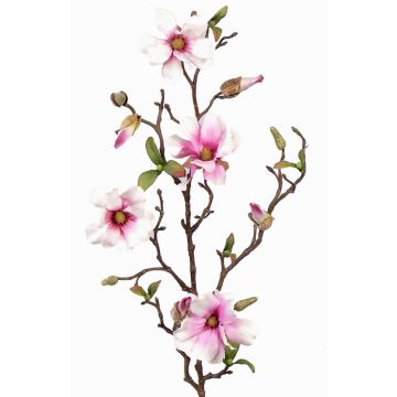 Deko Magnolie MARGA, rosa-pink, 80cm, Ø7-8cm Deko Magnolie MARGA, rosa-pink, 80cm, Ø7-8cm