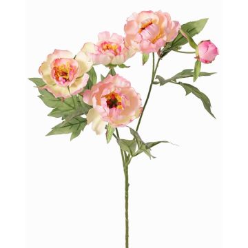 Künstlicher Zweig Pfingstrose LARDUAN, Eco Collection, rosa-weiß, 60cm, Ø7cm Künstlicher Zweig Pfingstrose LARDUAN, Eco Collection, rosa-weiß, 60cm, Ø7cm