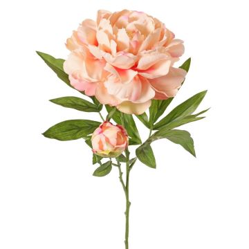 Kunstblume Pfingstrose WARDUAN, Eco Collection, lachs, 65cm, Ø15cm