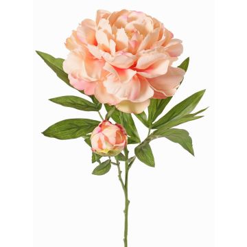 Kunstblume Pfingstrose WARDUAN, Eco Collection, lachs, 65cm, Ø15cm