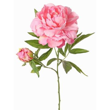 Kunstblume Pfingstrose WARDUAN, Eco Collection, rosa, 65cm, Ø15cm