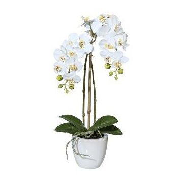 Künstliche Phalaenopsis Orchidee LARKEN im Keramiktopf, Wurzeln, weiß, 45cm Künstliche Phalaenopsis Orchidee LARKEN im Keramiktopf, Wurzeln, weiß, 45cm
