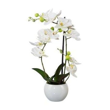 Kunst Phalaenopsis Orchidee INAKES, Keramiktopf, Wurzeln, weiß, 40cm