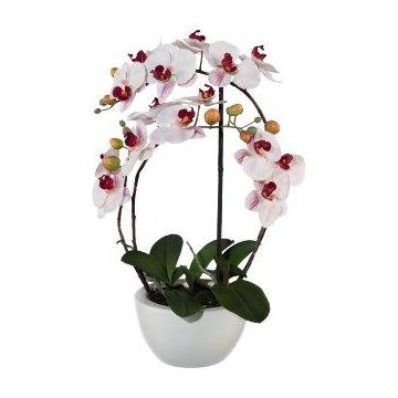 Kunst Phalaenopsis Orchidee INAKES, Keramiktopf, Wurzeln, rosa-weiß, 50cm