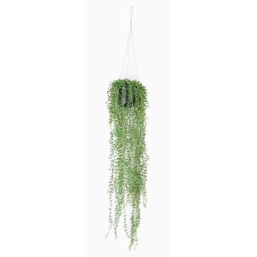 Künstliche Sukkulente Senecio Blumenampel COSIMA im Dekotopf, grün, 70cm
