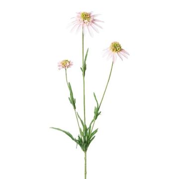 Kunstzweig Sonnenhut KAELY, hellrosa, 65cm Kunstzweig Sonnenhut KAELY, hellrosa, 65cm