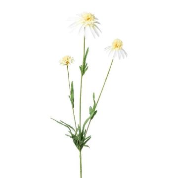 Kunstzweig Sonnenhut KAELY, creme, 65cm