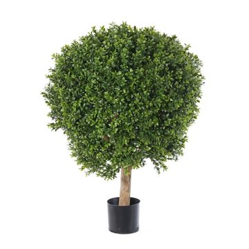 Kunst Buchsbaum TOM, Naturstamm, 80cm, Ø60cm