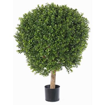 Kunst Buchsbaum TOM, Naturstamm, crossdoor, 80cm, Ø60cm