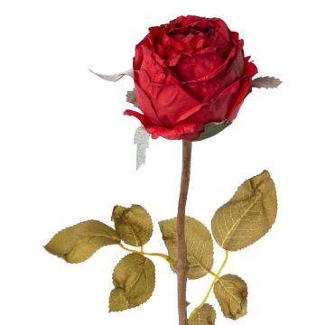 Deko Blume Rose ZONFER, Trockenoptik, rot, 60cm, Ø8cm