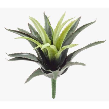 Künstliche Agave decipiens SEDA zum Stecken, grün, 25cm, Ø25cm