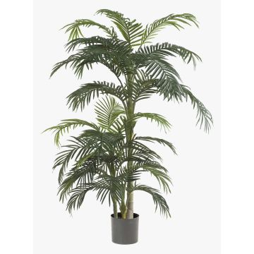 Areca Palme künstlich CAMYRA, 170cm